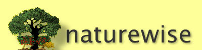 naturewise logo